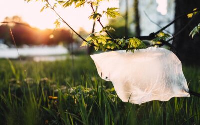Hvorfor vil vi erstatte plastik?